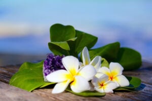 Egzotikus nyaralások: Hawaii, Amerikai Egyesült Államok